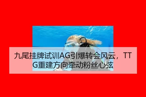 九尾挂牌试训AG引爆转会风云，TTG重建方向牵动粉丝心弦